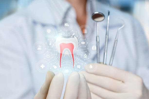 Best Full Mouth Reconstruction  in Springfield, MN